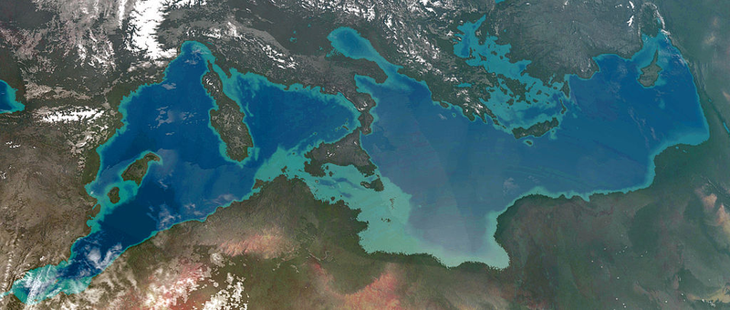 Image: lttiz/Wikipedia